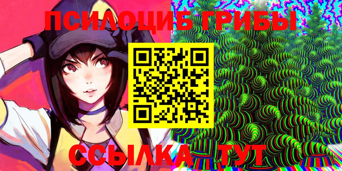 Галлюциногенные грибы Psilocybe  Вход с VPN  Междуреченск 